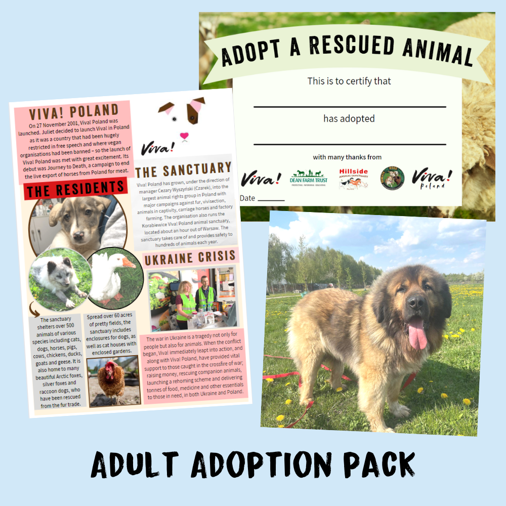 Adopt A Rescued Animal