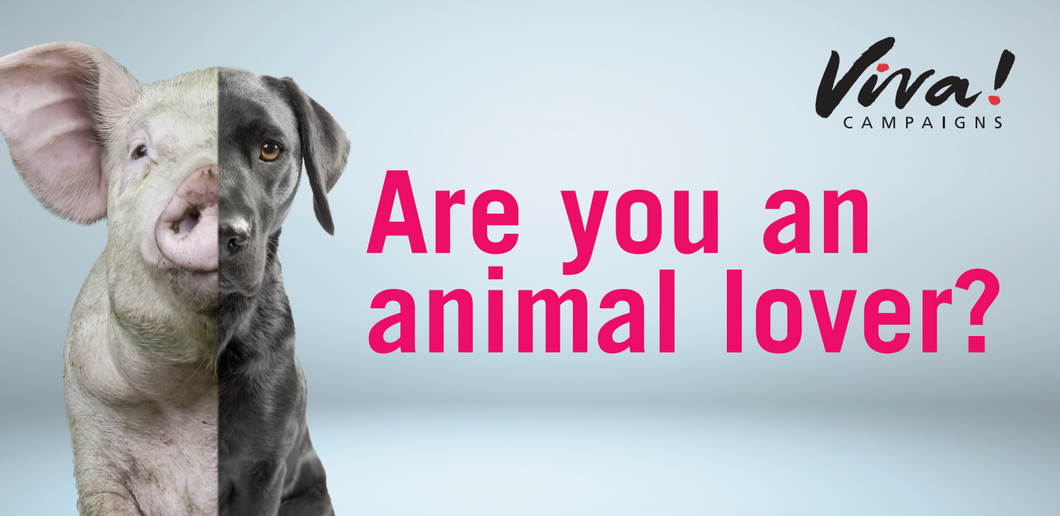 Are You An Animal Lover Leaflets x 50 Viva! Shop
