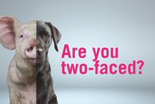 Are You Two-Faced? Business Cards Viva! Shop