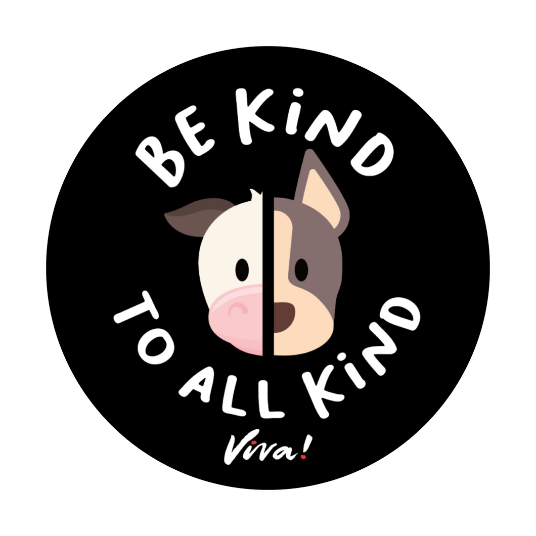 Be Kind To All Kind Vinyl Sticker Viva! Shop