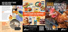 Cracked Eggs Aren't All They're Cracked Up To To Be Leaflet x30