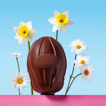 Catherine's Originals Vegan Milk Chocolate Egg