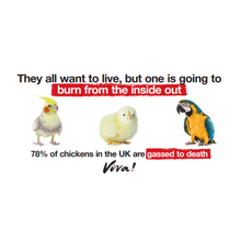 Gasping for Life Leaflets - Chickens x 50