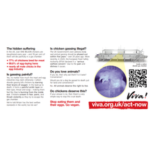 Gasping for Life Leaflets - Chickens x 50