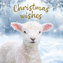 Christmas Wishes Christmas Card