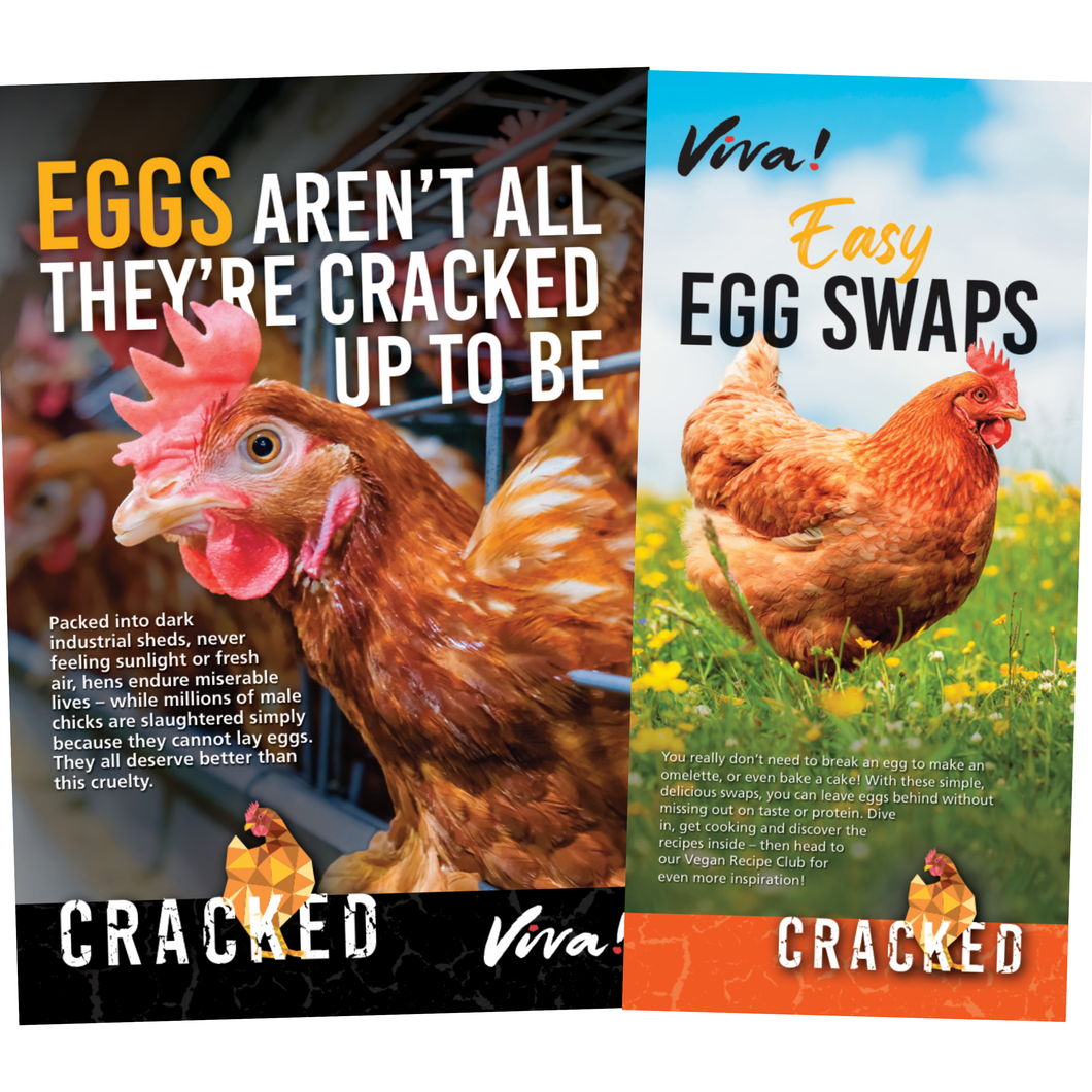 Cracked Leaflet Bundle