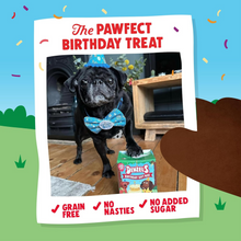 Denzel's Plant-Based Birthday Gift Box of Dog Treats 110g Viva! Shop