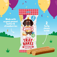 Denzel's Plant-Based Birthday Gift Box of Dog Treats 110g Viva! Shop