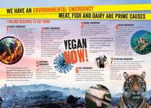 Emergency! Emergency!: Vegan Now Leaflets x 50 Viva! Shop