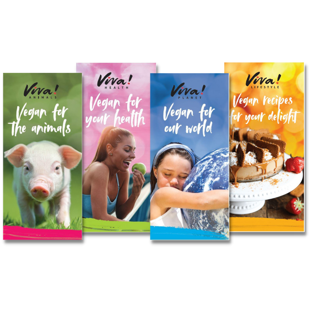 Viva! Vegan Leaflet Series x10 (Teachers Version)