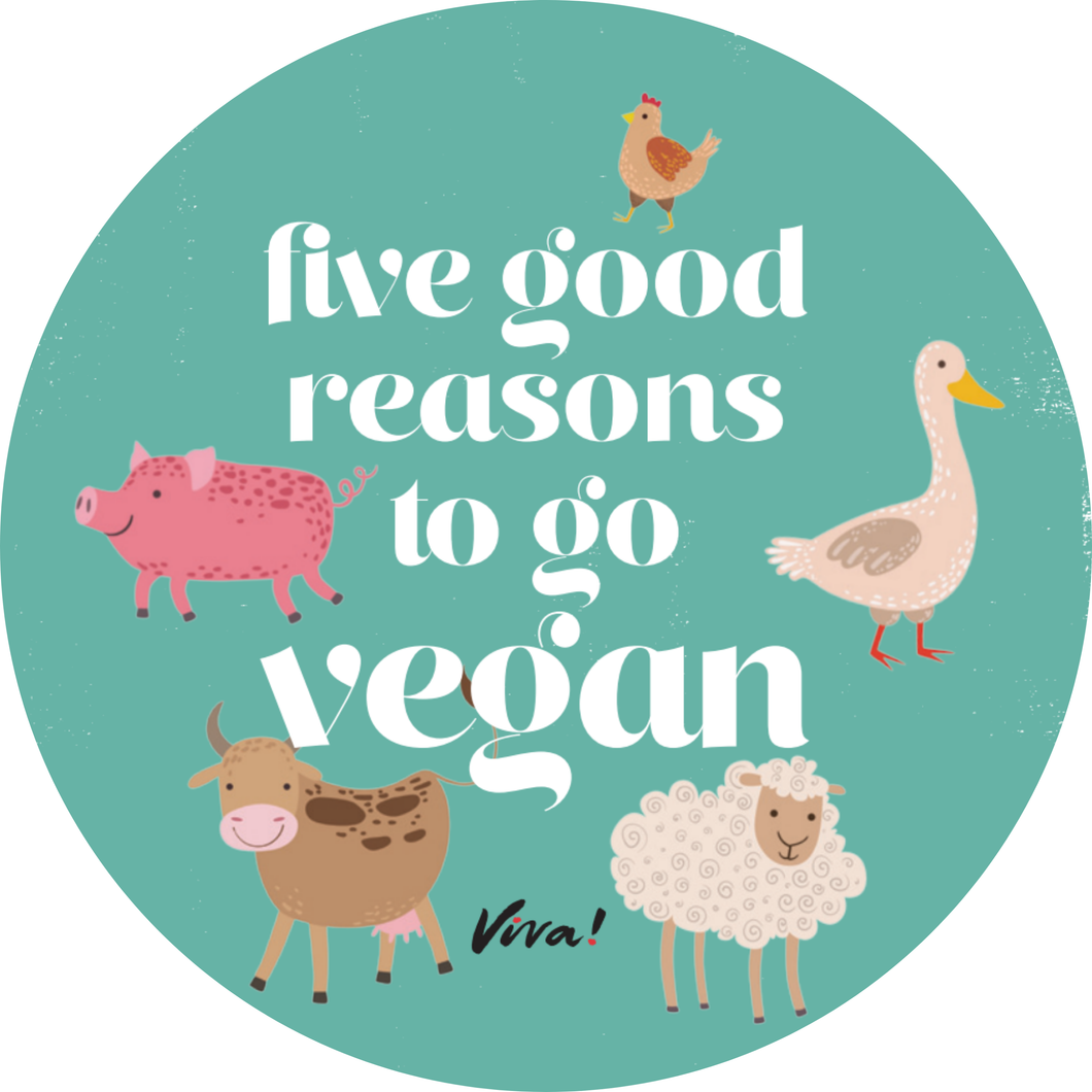 Five Good Reasons to Go Vegan Vinyl Sticker