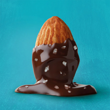 Forest Feast Sea Salted Dark Chocolate Almonds 40g
