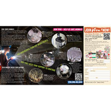 Join Viva! Leaflet x 50
