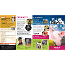 Join Viva! Leaflet x 50