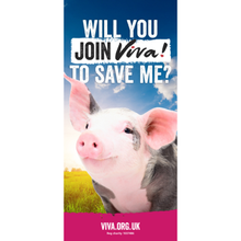 Join Viva! Leaflet x 50