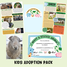 Adopt Odin the Sheep