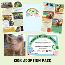Adopt Squidgy the Pig