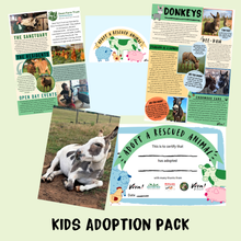 Kids Adoption Pack - Taco the Donkey