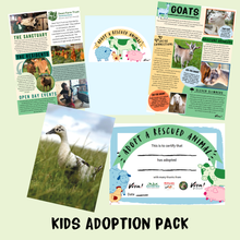 Adopt June the Duck