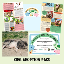 Adopt Lukrecja the Pig