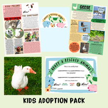 Adopt Stanislaw the Goose