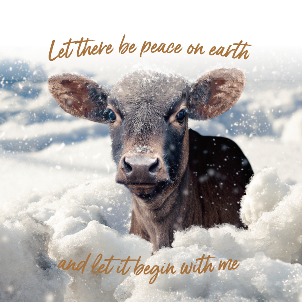 Let There Be Peace On Earth And Let It Begin With Me - Christmas Cards Pack of 5 Viva! Shop