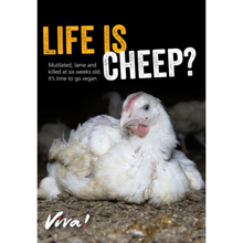 Life is Cheep? Broiler Chicken Leaflets x 50