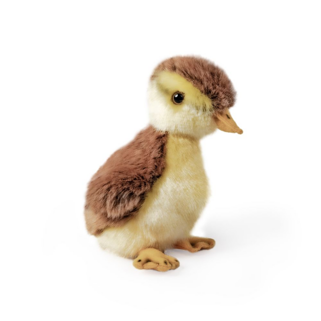 Living Nature Plush Mallard Duckling Toy Viva! Shop