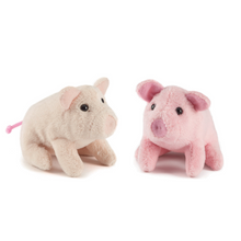 🐷 Ziggy the Piggy – Viva! Gen Gift Bundle (Under 11s)