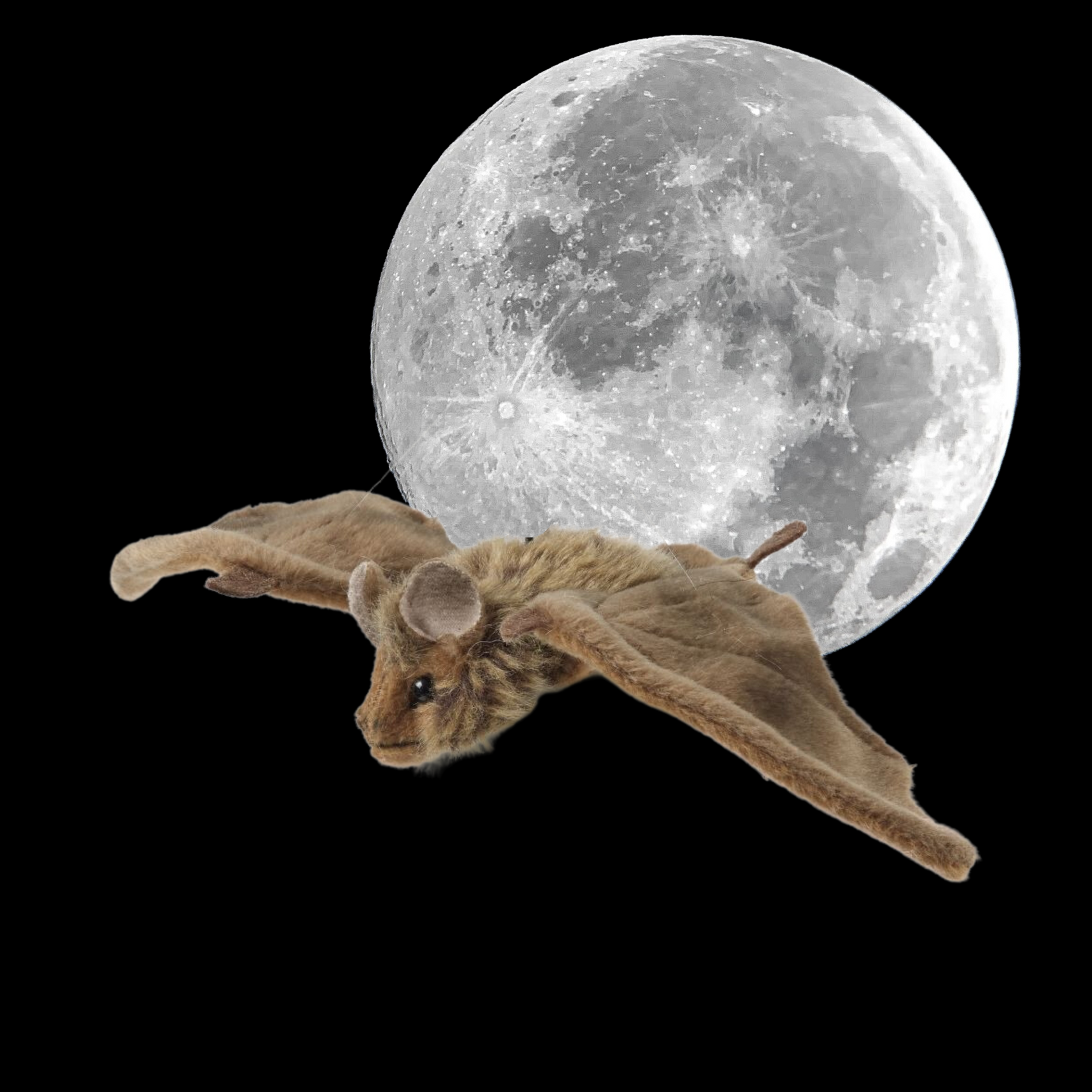 Living Nature Plush Bat Toy Gifts for Life Viva!