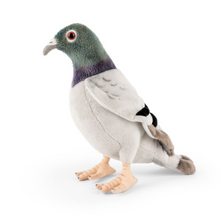Living Nature Plush Pigeon Toy Viva! Shop