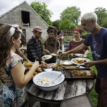 My Vegan Farm Food Stories and Recipes from Tolhurst Organic