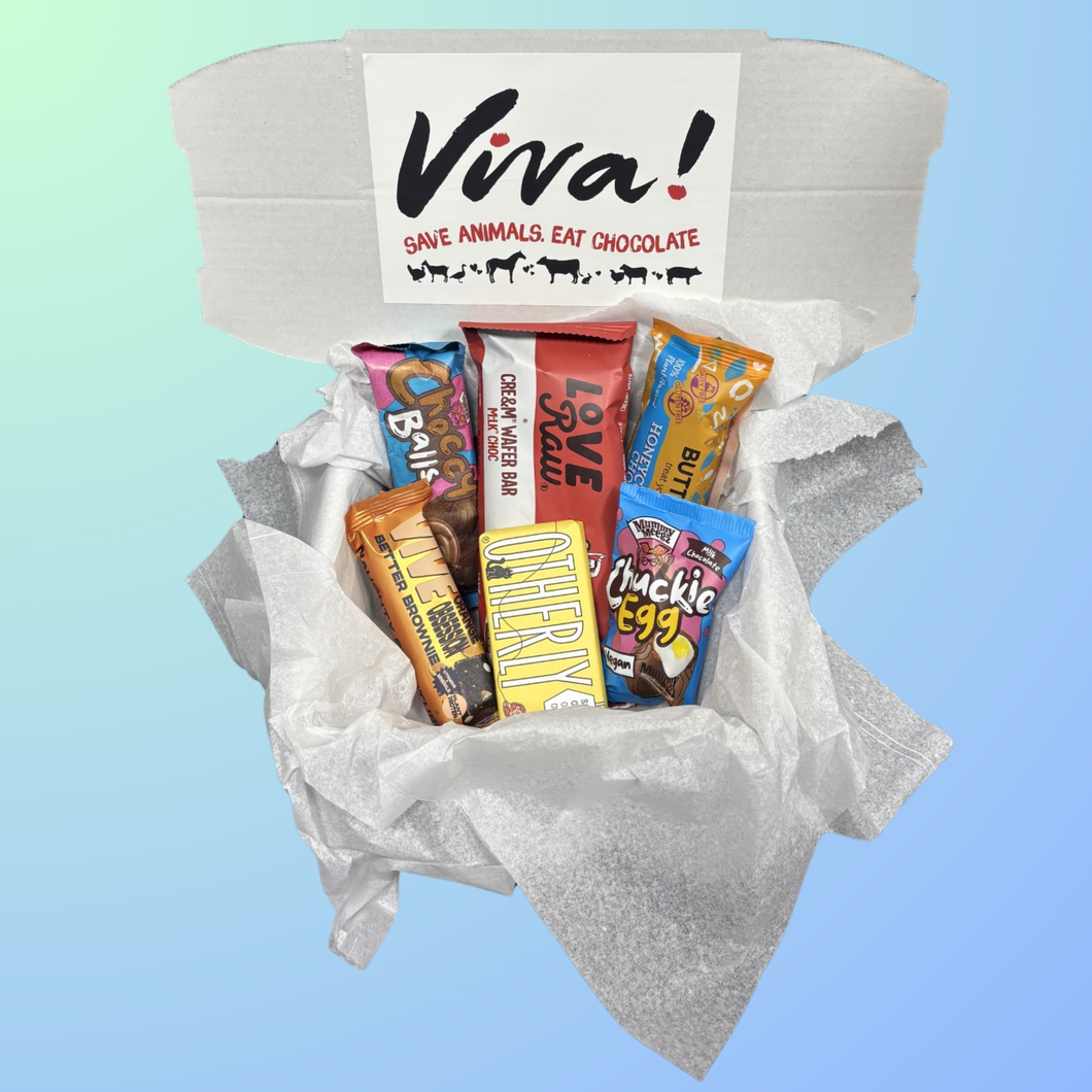 Viva! Must Try Vegan Chocolate Box