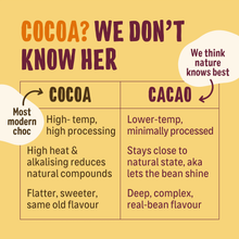 Ombar Chocolate Coco Raspberry Chocolate Bar 42g