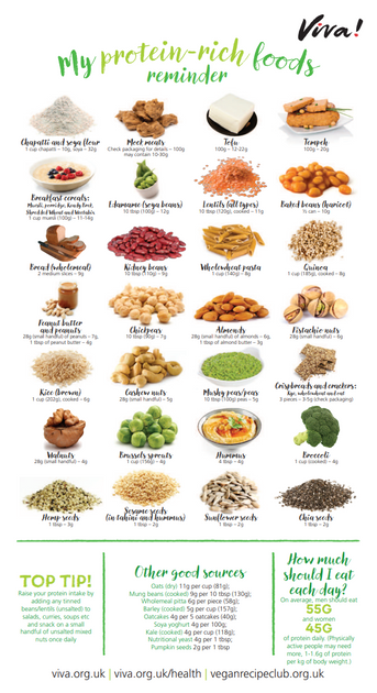 Protein Nutritional Poster – Gifts for Life | Viva!