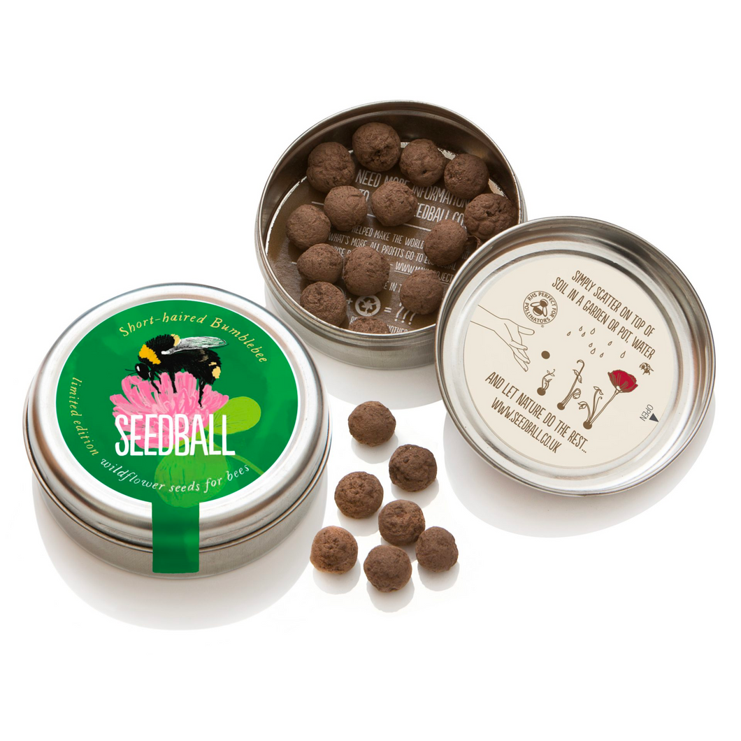 Seedball Short-Haired Bumblebee Mix Tin Viva! Shop