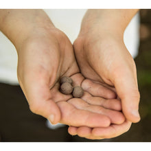 Seedball Make Your Own Kit Wildflower Seed Balls