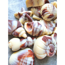 Taffy & Co Belgian Chocolate Shells