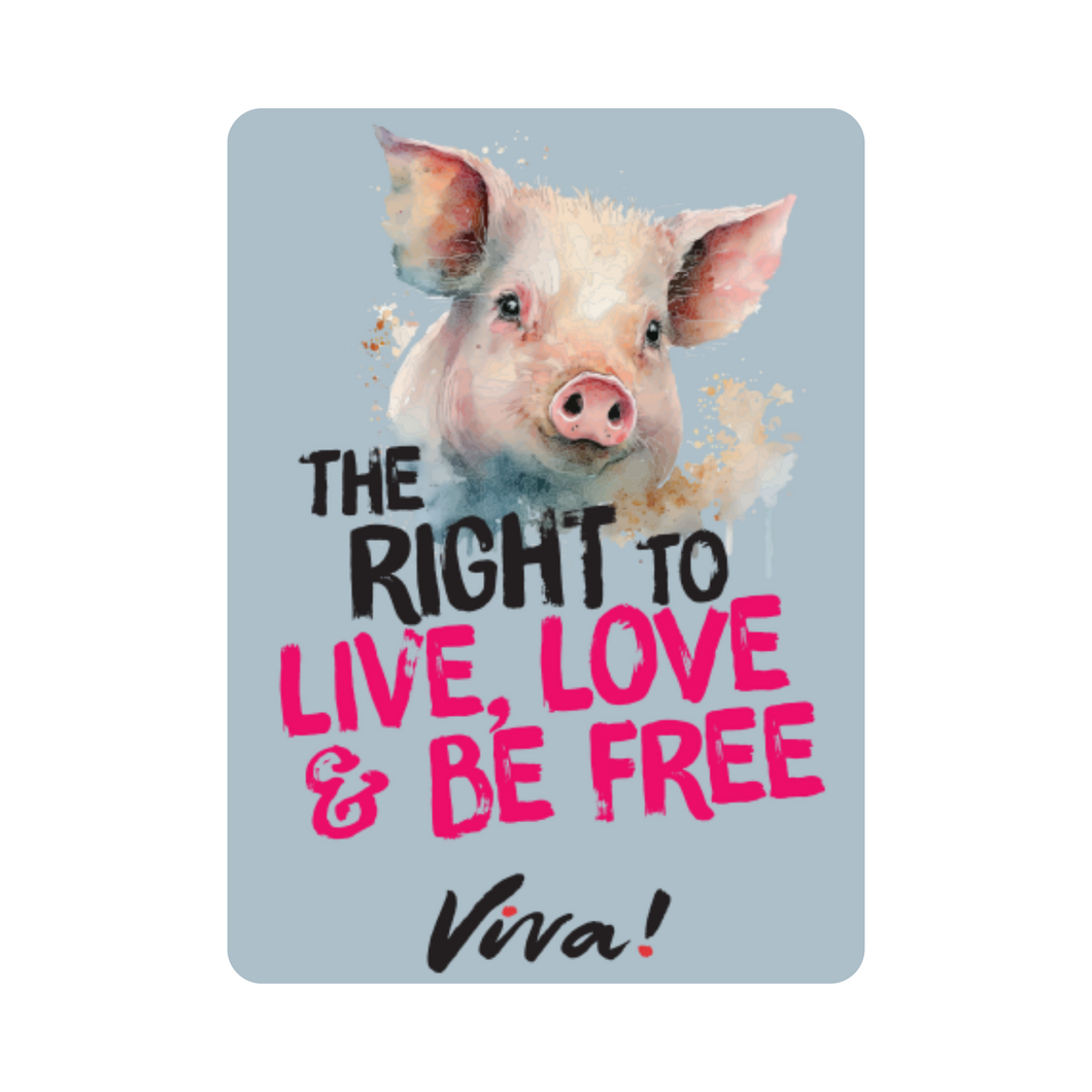 The Right To Live, Love & Be Free Fridge Magnet Viva! Shop