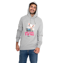 The Right To Live, Love And Be Free Unisex Classic Raglan Pullover Hoody - Melange Grey Viva! Shop