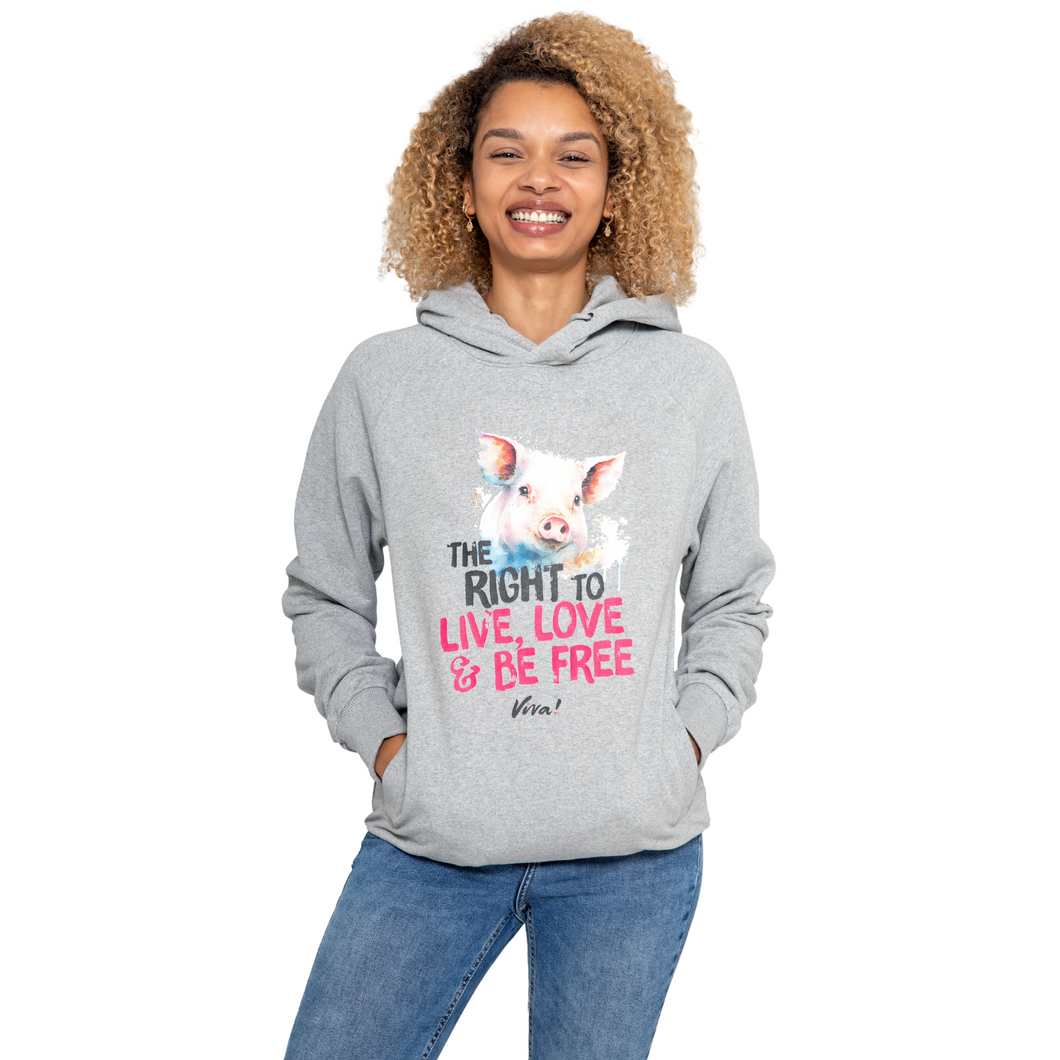 The Right To Live, Love And Be Free Unisex Classic Raglan Pullover Hoody - Melange Grey Viva! Shop