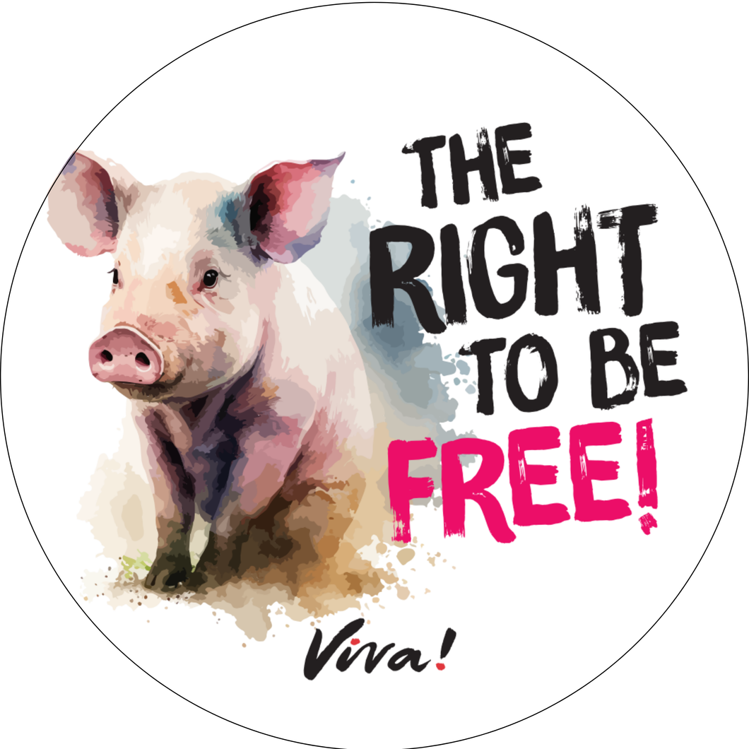 The Right to Be Free! Vinyl Sticker