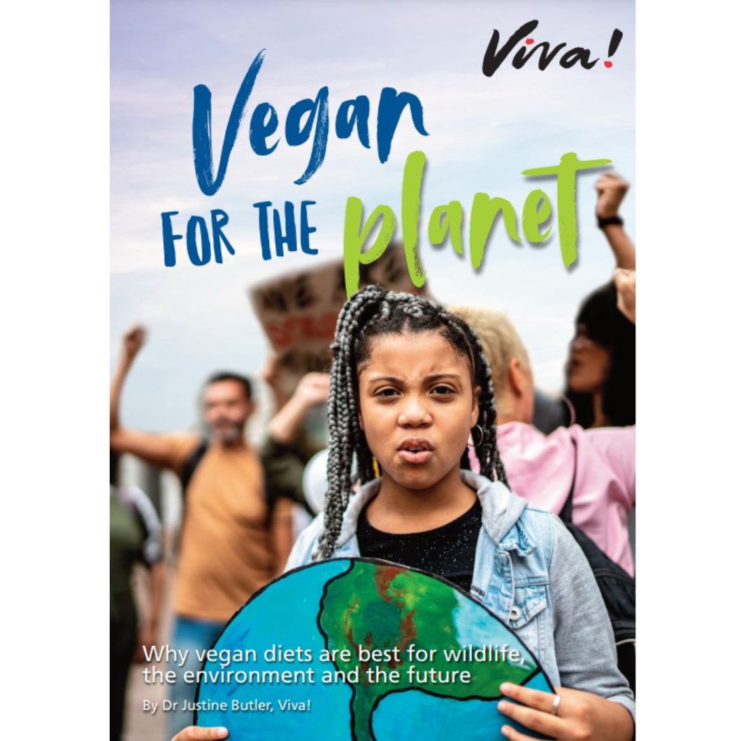 Vegan For The Planet Guide Viva! Shop