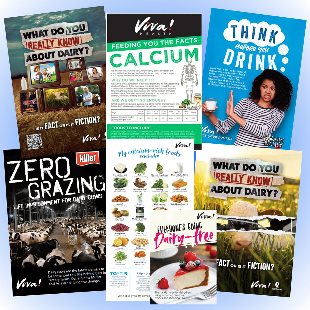 A Collection of Viva! Resources promoting Dairy-Free choices, Cow Welfare and health information about calcium