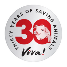Viva! Enamel Thirty Years Pin Badge Viva! Shop
