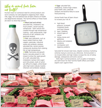 Viva! Health Leaflets x 30 Viva! Shop