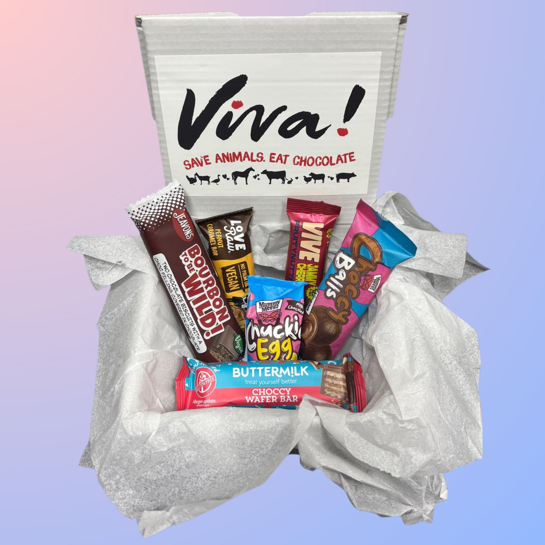 Must Try Vegan Chocolate Treat Box