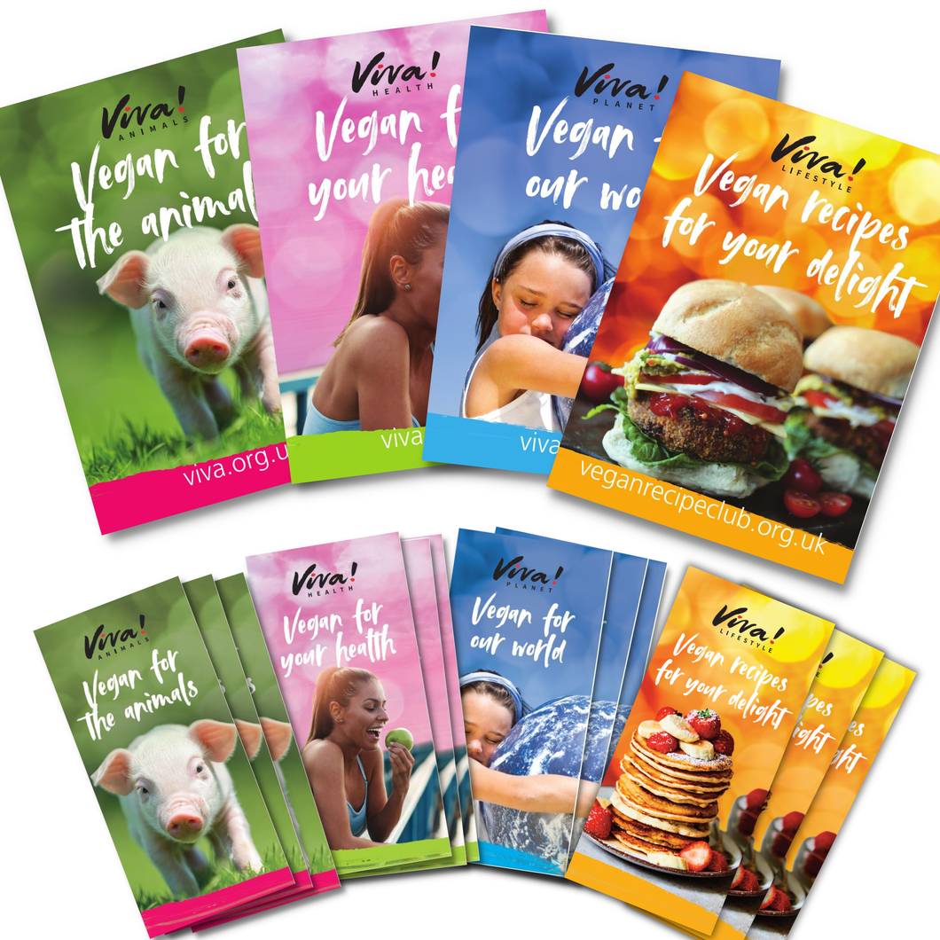 Viva! Vegan Leaflet and Poster Stall Pack