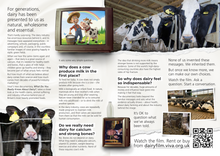 What Do You Really Know About Dairy Leaflet x50 - leaflet including facts about cows milk and where to buy or rent the documentary 