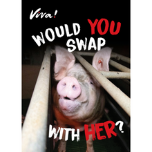 Would You Swap With Her? Leaflets x 50 Viva! Shop